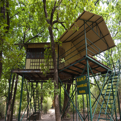 Kamp Kamouflage Kanha